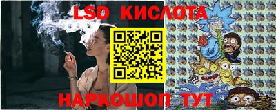 бошки Кингисепп