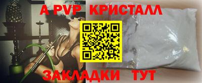 бошки Кингисепп