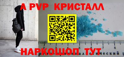 бошки Кингисепп