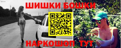 бошки Кингисепп