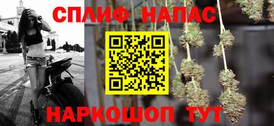 бошки Кингисепп