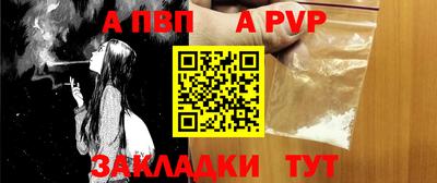 бошки Кингисепп